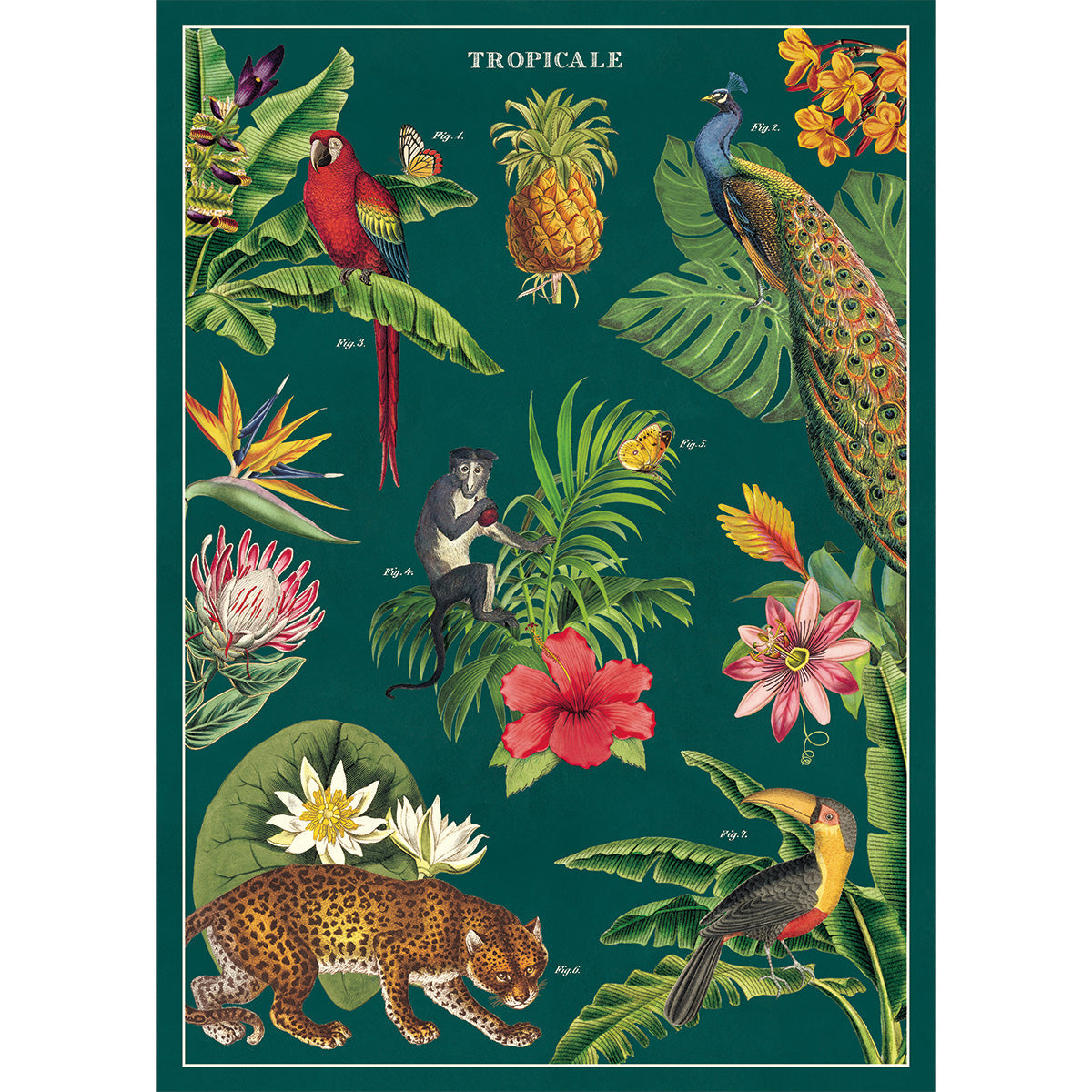 Póster decorativo en papel italiano Tropicale